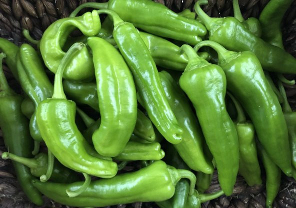 Meşhur Tatlı Köy Biberi Tohumu Ekim Seti 15 Tohum Biber Tohumu Saksı Toprak Kombin - 2