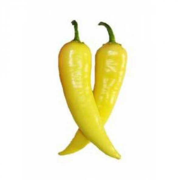 Sarı Stone Turşuluk Biber Tohumu Ekim Seti 20 Tohum Saksı Toprak Kombin