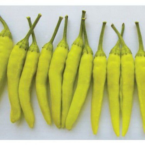 Eko Paket 150 Tohum Sarı Stone Turşuluk Biber Tohumu - Resim 5