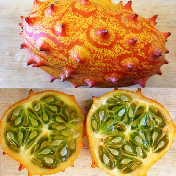 İthal Nadir Kiwano Tohumu Ekim Seti Kivano Meyvesi Tohumu 5 Tohum Saksı Toprak Kombin - 2