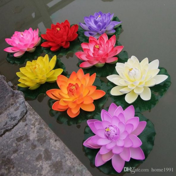 Nadir İthal Lotus Tohumu 20 Tohum Lotus Çiçeği Tohumu Nilüfer Tohumu Su Zambağı Tohumu Zambak Tohumu - 3