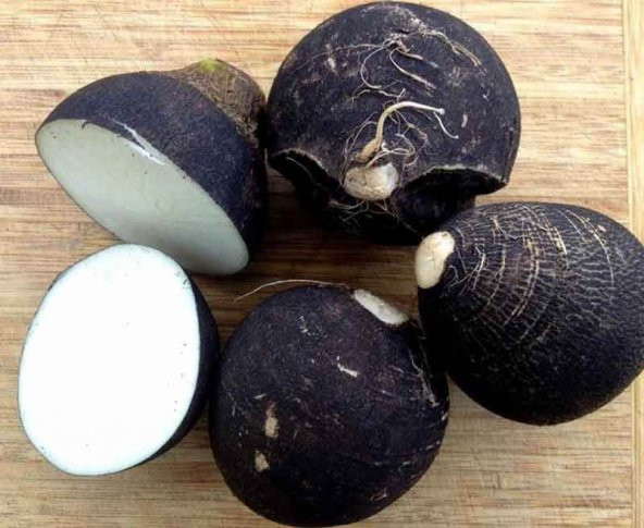 Eko Paket 500 Tohum Nadir Siyah Turp Tohumu - 3