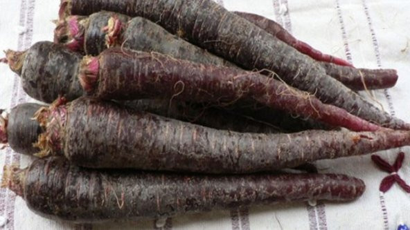 Meşhur Mor Havuç Tohumu Ekim Seti 100 Tohum Şalgam Havucu Tohumu Saksı Toprak Kombin - 2