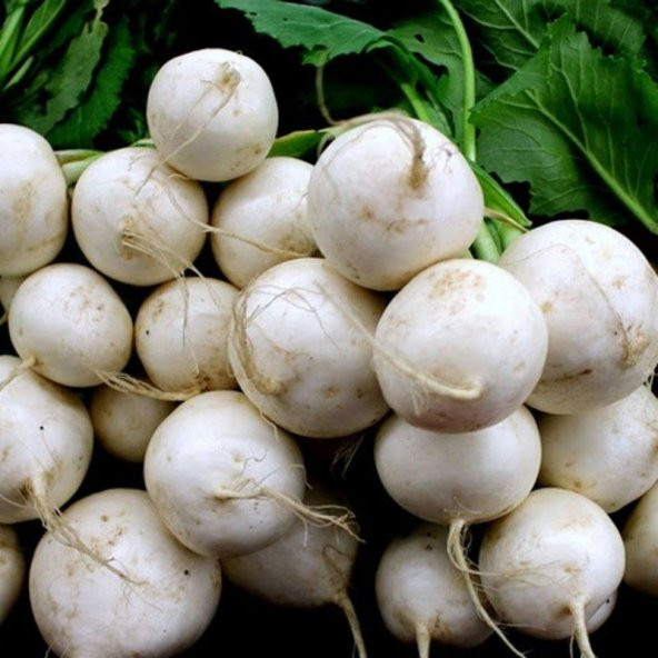 Süper Paket 1000 Tohum Nadir Beyaz Turp Tohumu - Resim 4