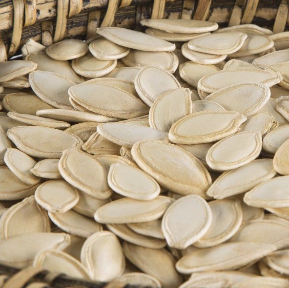 Meşhur Nevşehir Kabak Tohumu 5 Tohum Kabak Çekirdeği Tohumu - 3