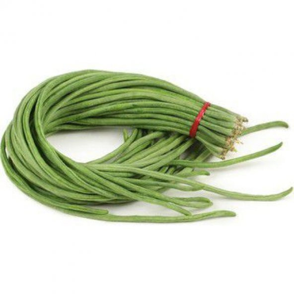 Nadir İthal Çin Fasulyesi Tohumu Ekim Seti Fasulye Tohumu 2 Tohum Saksı Toprak Kombin - 2