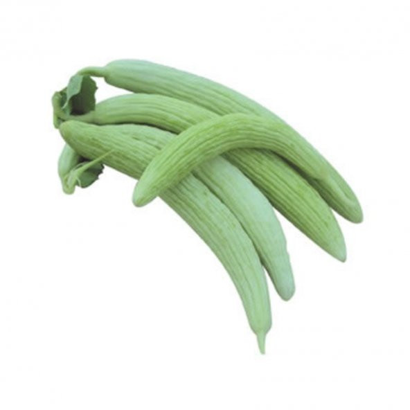 Meşhur Turşuluk Acur Tohumu Ekim Seti 10 Tohum Saksı Toprak Kombin