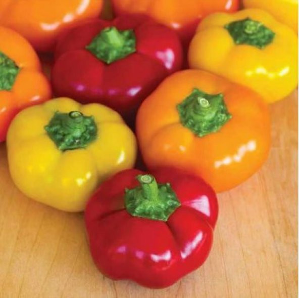 Saksılık Nadir Peynir Biberi Tohumu Biber Tohumu 5 Tohum - 3