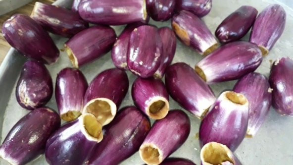 Kurutmalık Dolmalık Antep Patlıcanı Tohumu 10 Tohum Ekim Seti Patlıcan Tohumu Saksı Toprak Kombin - Resim 4