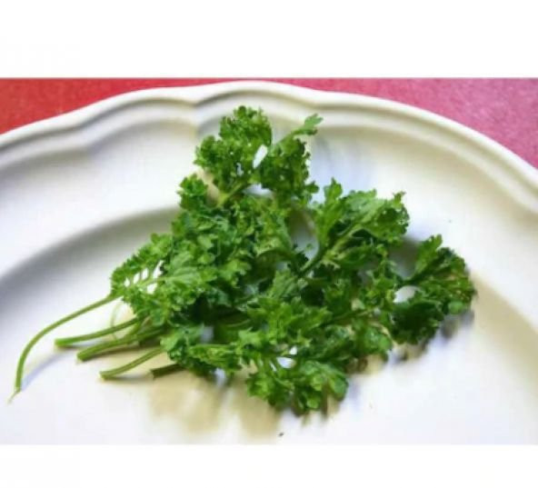 Nadir İthal Kıvırcık Crinkled Tere Tohumu Ekim Seti 50 Tohum Saksı Toprak Kombin - Resim 2