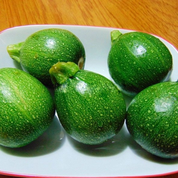 Nadir İthal Topak Dolmalık Kabak Tohumu Ekim Seti 5 Tohum Saksı Toprak Kombin - 3