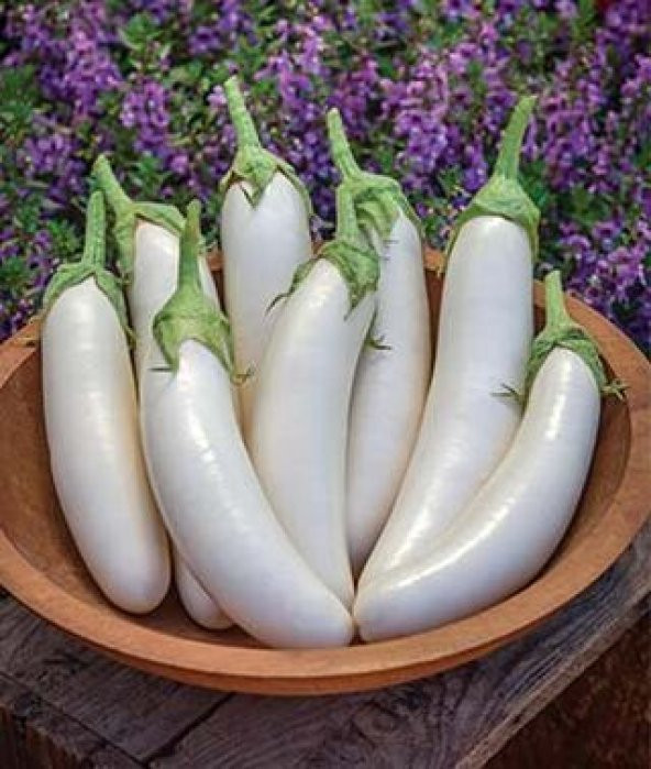 Nadir İthal Beyaz Kemer Patlıcan Tohumu Ekim Seti 5 Tohum Saksı Toprak Kombin - 3