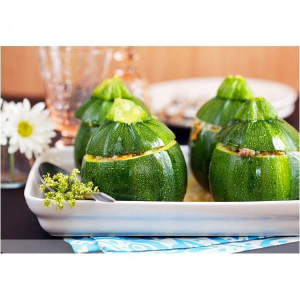 Nadir İthal Topak Dolmalık Kabak Tohumu Ekim Seti 5 Tohum Saksı Toprak Kombin - 4