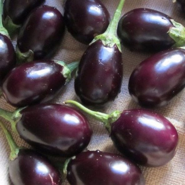 Meşhur Adana Patlıcanı Tohumu Ekim Seti 20 Tohum Patlıcan Tohumu Saksı Toprak Kombin - 2