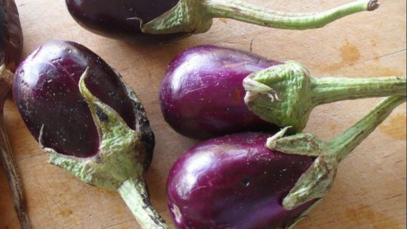 Meşhur Adana Patlıcanı Tohumu Ekim Seti 20 Tohum Patlıcan Tohumu Saksı Toprak Kombin - 3