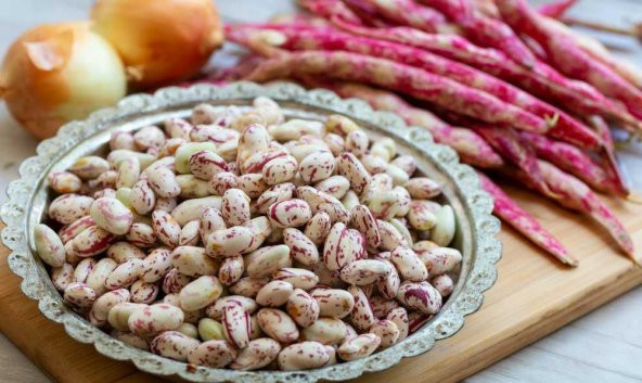 Sırık Barbunya Tohumu Ekim Seti Fasulye Tohumu 15 Tohum Saksı Toprak Kombin - Resim 2