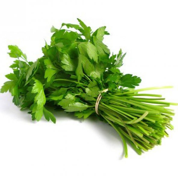 Süper Paket 2000 Tohum Maydanoz Tohumu Geniş Yaprak Maydonoz Tohumu - Resim 2