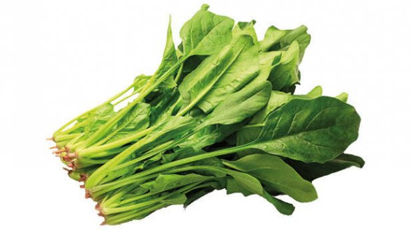 Geleneksel ıspanak Tohumu Ekim Seti 50 Tohum Saksı Toprak Kombin - Resim 2