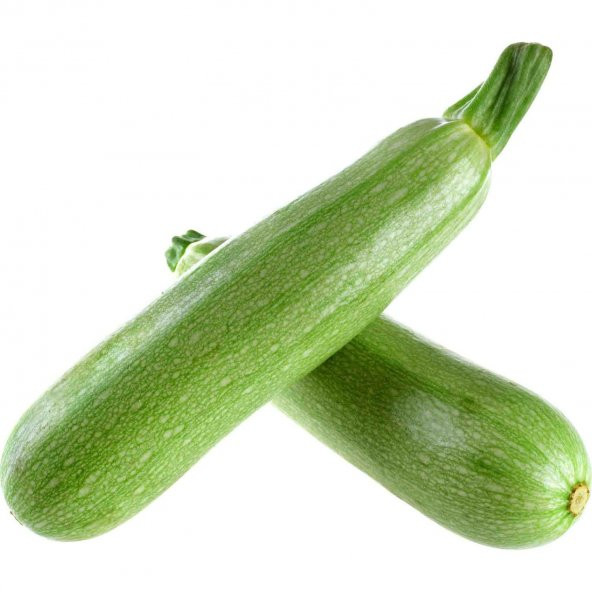 Süper Paket 75 Tohum Meşhur Sakız Kabak Tohumu Şehir Kabağı Tohumu Beyaz Kabak Tohumu - 2