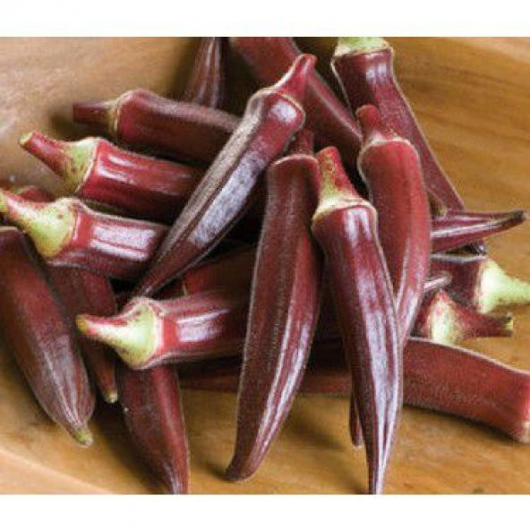 Eko Paket 25 Tohum Nadir İthal Kırmızı Bamya Tohumu - Resim 2