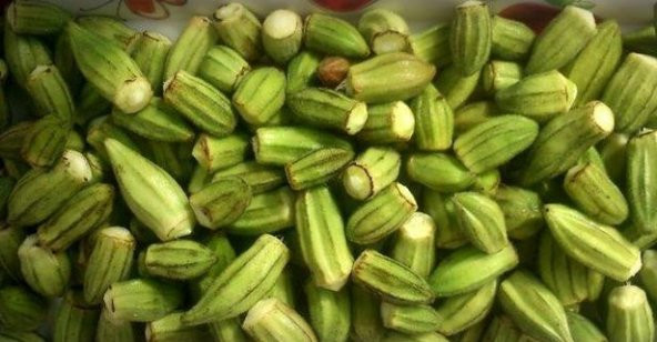 Süper Paket 250 Tohum Meşhur Bamya Tohumu - 4