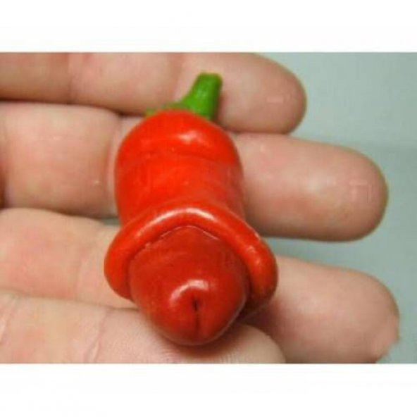 Nadir İthal Acı Sexi Biber Tohumu Ekim Seti 5 Adet Tohum Saksı Toprak Kombin Set
