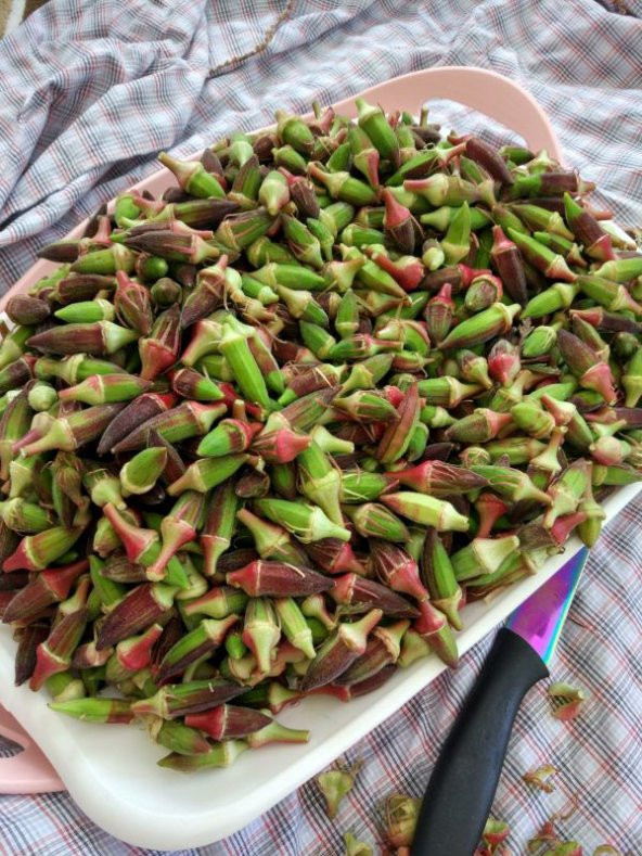 Süper Paket 100 Tohum Nadir Kınalı Bamya Tohumu - 4