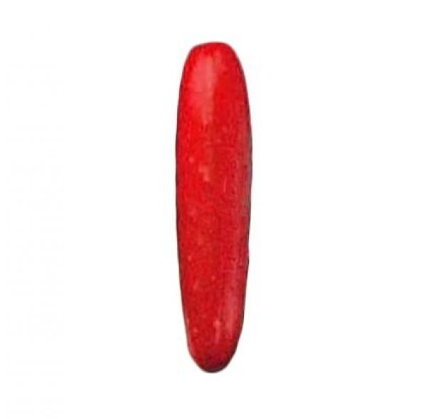 Nadir İthal Kırmızı Salatalık Tohumu Ekim Seti 3 Tohum Red Cucumber Saksı Toprak Kombin