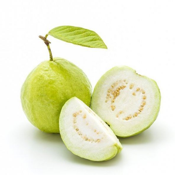 Nadir İthal Psidium Guava Meyvesi Tohumu Ekim Seti 3 Tohum Saksı Toprak Kombin