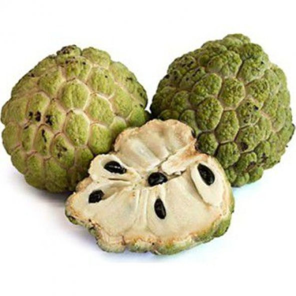 Sugar Apple Meyvesi Tohumu Ekim Seti 3 Tohum Şeker Elma Tohumu Saksı Toprak Kombin