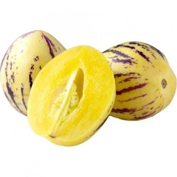 Nadir İthal Pepino Meyvesi Tohumu Ekim Seti 5 Tohum Pepino Tohumu Saksı Toprak Kombin