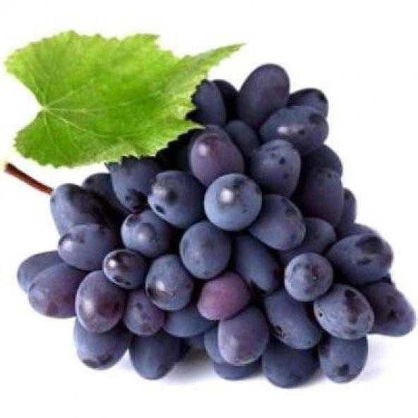 Nadir Siyah Şarköy Üzümü Tohumu Ekim Seti Üzüm Tohumu 5 Tohum Saksı Toprak Kombin