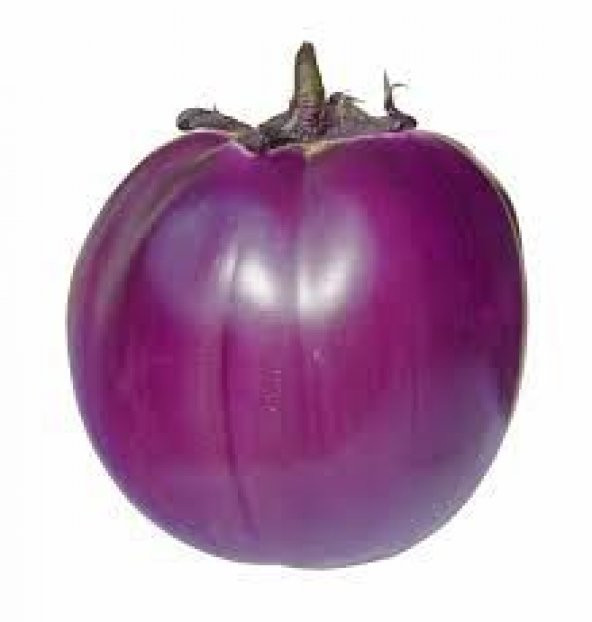 Elma Patlıcanı Tohumu Ekim Seti 5 Tohum Patlıcan Tohumu Saksı Toprak Kombin - Resim 2