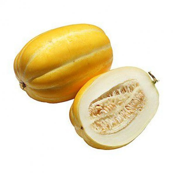 Nadir Kore Kavunu Tohumu Ekim Seti Kavun Tohumu 5 Tohum Saksı Toprak Kombin - Resim 2