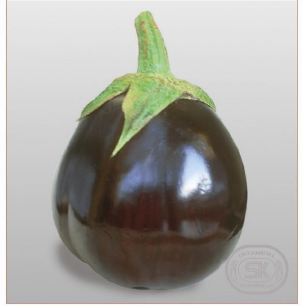 Süper Paket 300 Tohum İri Topan Dolmalık Patlıcan Tohumu - 2