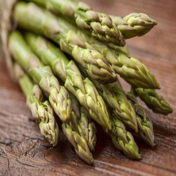 Nadir İthal Kuşkonmaz Tohumu Ekim Seti 5 Tohum Kuş Konmaz Tohumu Saksı Toprak Kombin - 3