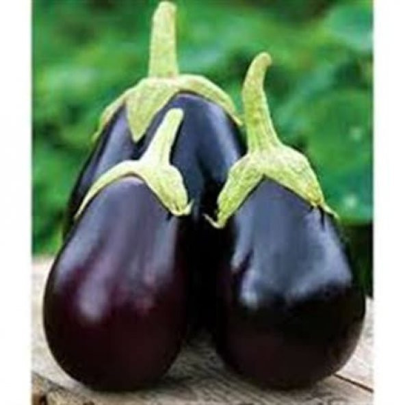 Süper Paket 300 Tohum İri Topan Dolmalık Patlıcan Tohumu - 4