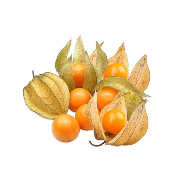 İthal Nadir Altın Çilek Tohumu Ekim Seti Kaz Üzümü Yer Çileği 5 Tohum Saksı Toprak Kombin