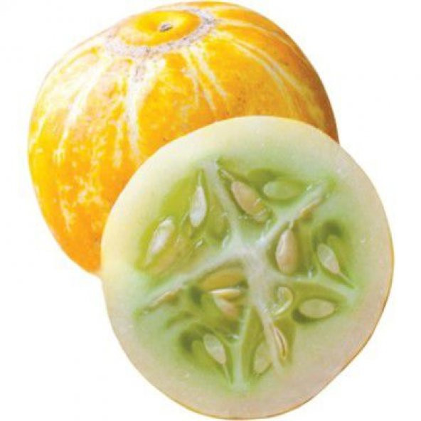 Nadir İthal Limon Salatalık Tohumu Ekim Seti 5 Tohum Saksı Toprak Kombin