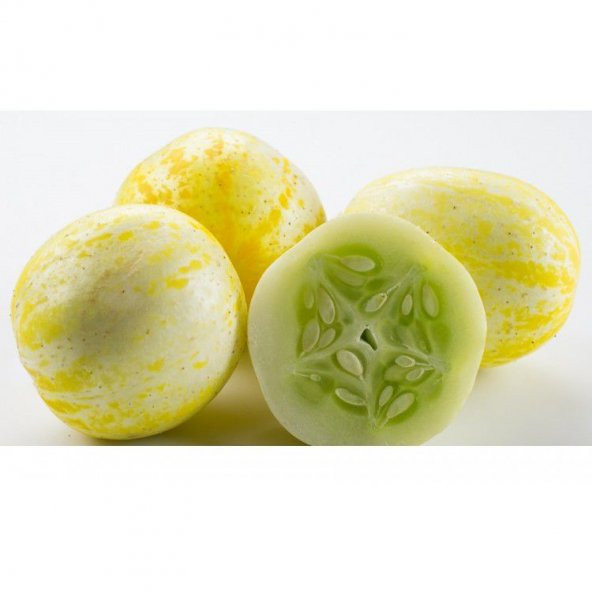 Nadir İthal Limon Salatalık Tohumu Ekim Seti 5 Tohum Saksı Toprak Kombin - 2