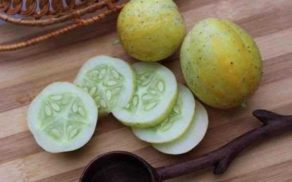 Nadir İthal Limon Salatalık Tohumu Ekim Seti 5 Tohum Saksı Toprak Kombin - 3