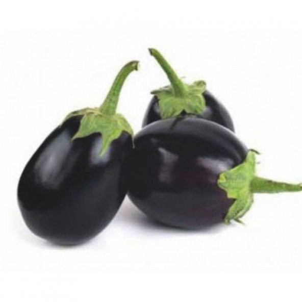 Süper Paket 300 Tohum İri Topan Dolmalık Patlıcan Tohumu