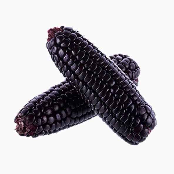 Eko Paket 10 Tohum Nadir İthal Siyah Mısır Tohumu