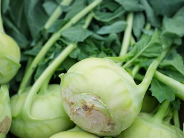 Eko Paket 200 Tohum Meşhur Alabaş Tohumu Kohlrabi Tohumu - 2