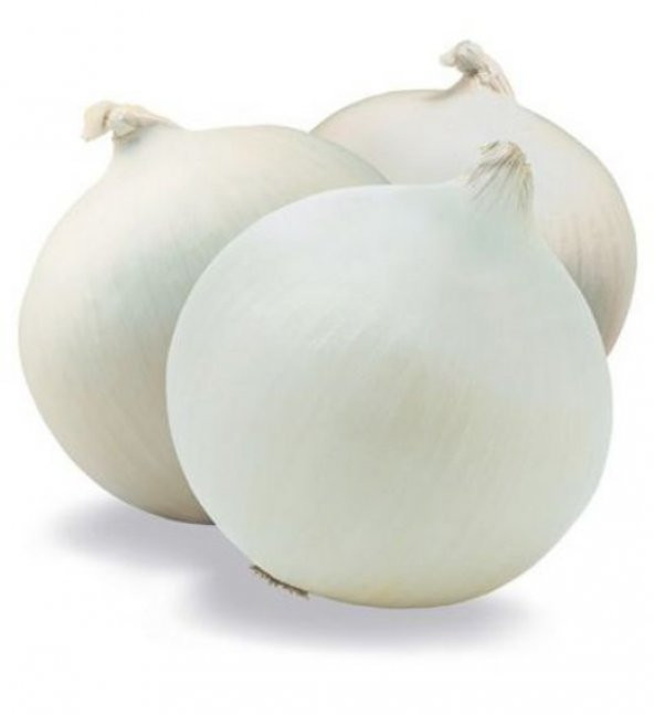 Süper Paket 2000 Adet Tohum İthal Nadir Tatlı Beyaz Soğan Tohumu