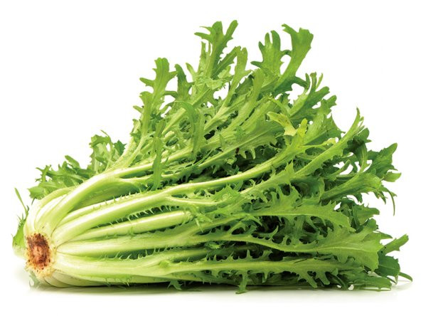 Süper Paket 2000 Adet Tohum Geleneksel Nadir Hindibağ Tohumu Hindiba