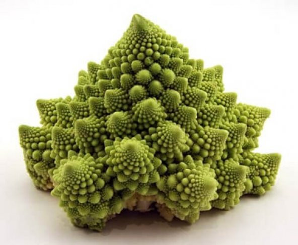 Nadir İthal Piramit Brokoli Tohumu 10 Adet Tohum - Resim 2