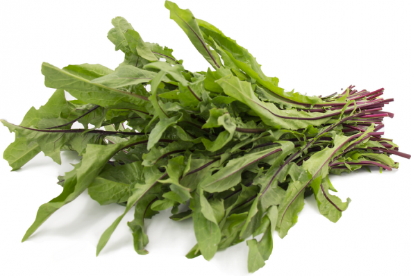 Nadir Hindiba Tohumu 100 Adet Tohum Hindibağ Tohumu Hindibağı Tohumu Hindi Bağı - 2