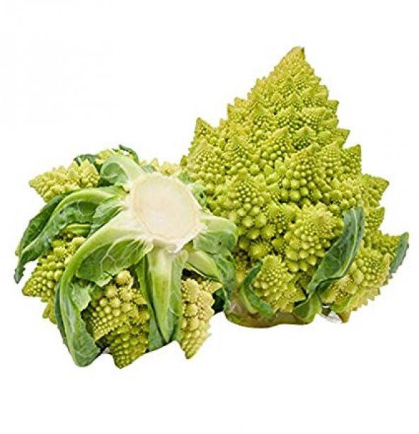 Nadir İthal Piramit Brokoli Tohumu 10 Adet Tohum - Resim 3