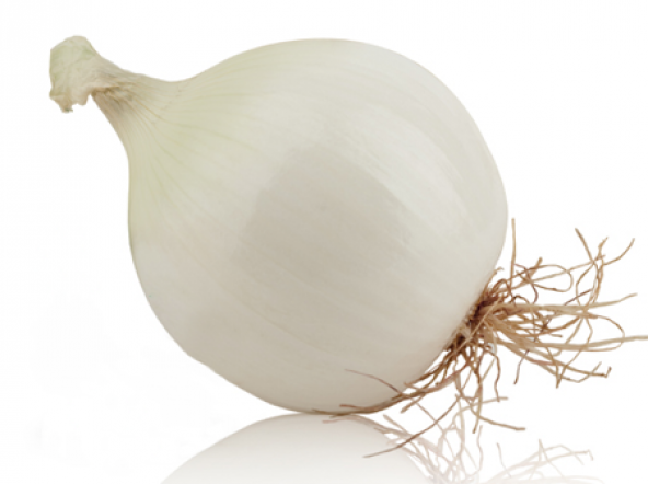 Süper Paket 2000 Adet Tohum İthal Nadir Tatlı Beyaz Soğan Tohumu - 3